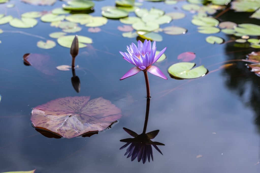 Sound Healing Retreat